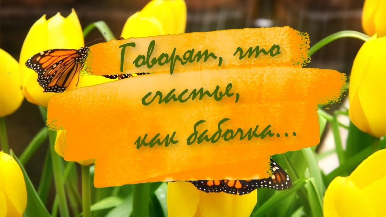 Футаж Пожелание Счастья❗❗  Счастье Как Бабочка