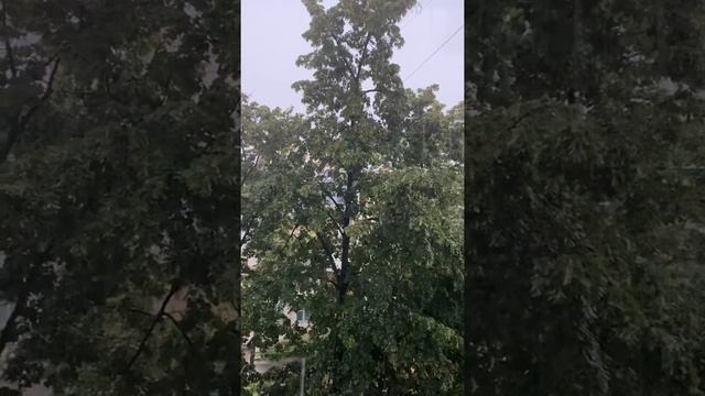Дождь. Киев Украина 22.06.20 Ukraine Kiev Rainy смотреть онлайн