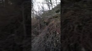 Завалинный вход в КОБЯКОВО ГОРОДИЩЕ