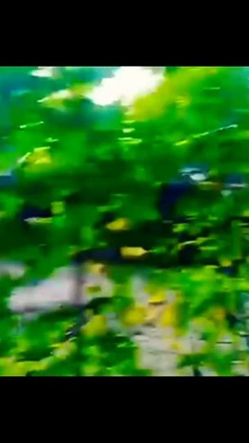 Т-62 против Лады смотреть онлайн