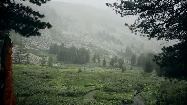 Алтай 2015 смотреть онлайн