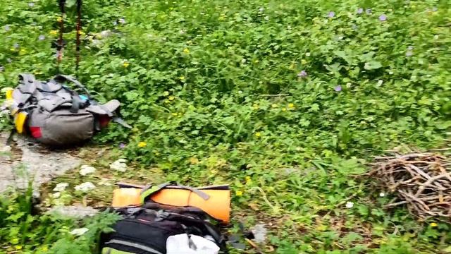 Терра день первый смотреть онлайн