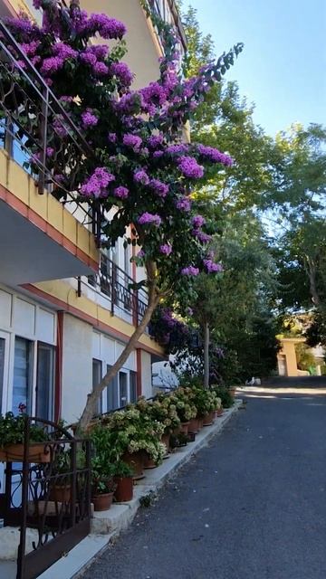 Принцевы острова - райские местечки в Стамбуле. смотреть онлайн