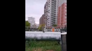 В Тюмени от ветра перевернулась автобусная остановка