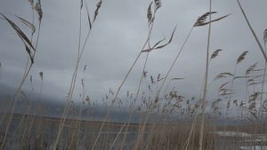 Первый весенний выезд на озеро