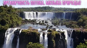 Органичность потока. Музыка природы!
Премьера музыки!