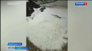 На Ставрополье снова обрушился град