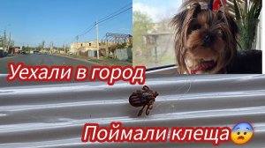 Семья из Мариуполя. Второй день Пасхи.Поехала к маме. #мариуполь #мариупольсегодня #мариупольвидео