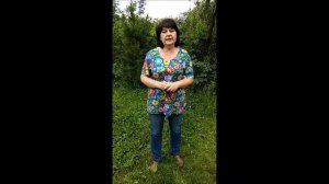 Как безопасно развести костер и пожарить сосиски