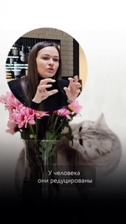 Духи с феромонами работают?