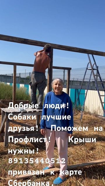 Сказки из жизни приют Хакасия делаем крыши для собак! смотреть онлайн
