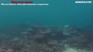 Новости Сегодня 23.04.2025 - Россия, Москва, Экстренный вызов новый выпуск, Катаклизмы, События Дня