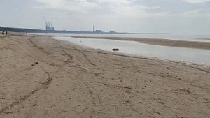 Город Сосновый бор