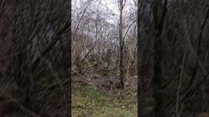1000322435.mp4 НАЛЬЧИК- март 2024..мои прогулки