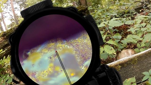 Игра с винтовкой. Страйкбол. смотреть онлайн