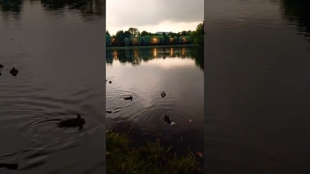 Измайловский Парк культуры и отдыха. смотреть онлайн