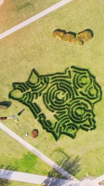 📍Как думаешь, легко ли пройти такой лабиринт? смотреть онлайн