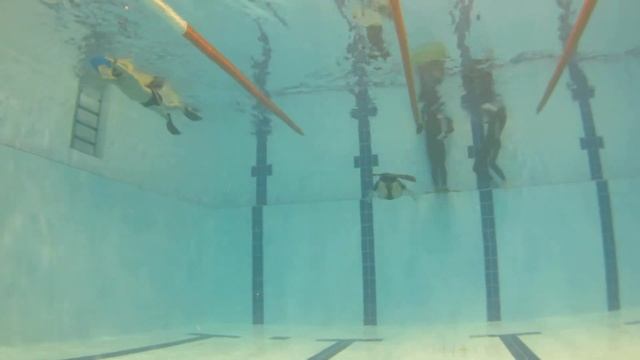 Фри Дайвинг и SCUBA дайвинг: обучение в удобных условиях