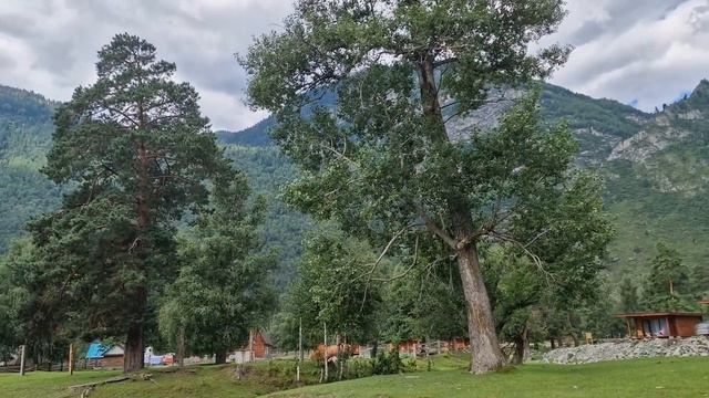6 дней на Алтае. на видео автопутешествие, а не моменты отдыха. нам понравилось!!!