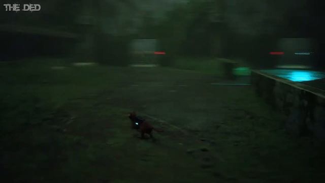 Финал ● Stray | Стрим #2 смотреть онлайн