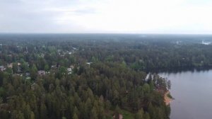 Вырица в деталях.