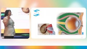 Блефаропластика.  Возможности массажных техник в коррекции параорбитальной зоны - Марина Бунина