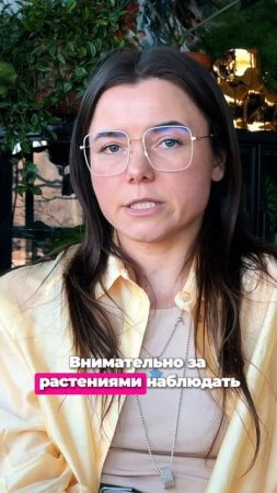 Собрали всё, что нужно знать про комнатные растения в одном видео! 🪴 #растения #советы