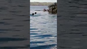 Прыжок со скалы.