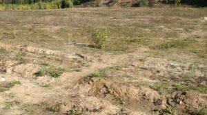 МЦ 20-01 отстрел пуль гуаланди от главпатрон