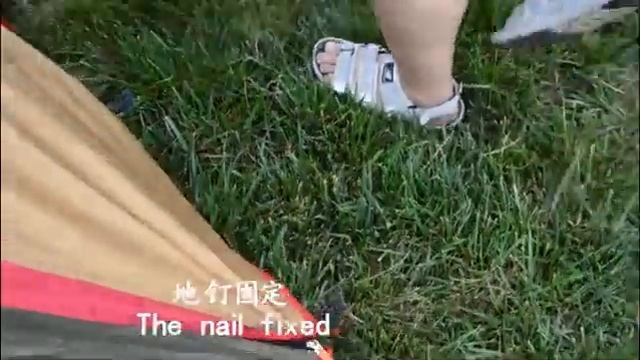 Палатка Traveltop TH-1915 4 местная смотреть онлайн