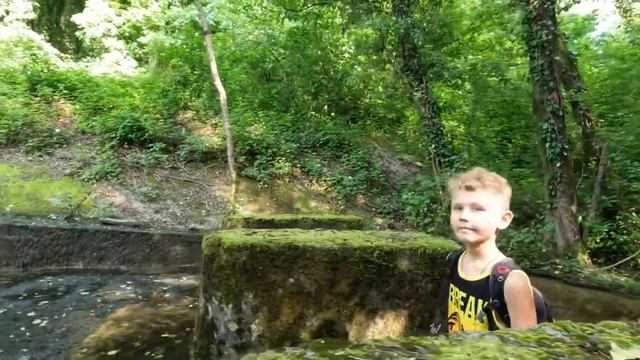 Бамбук лес в Адлере смотреть онлайн