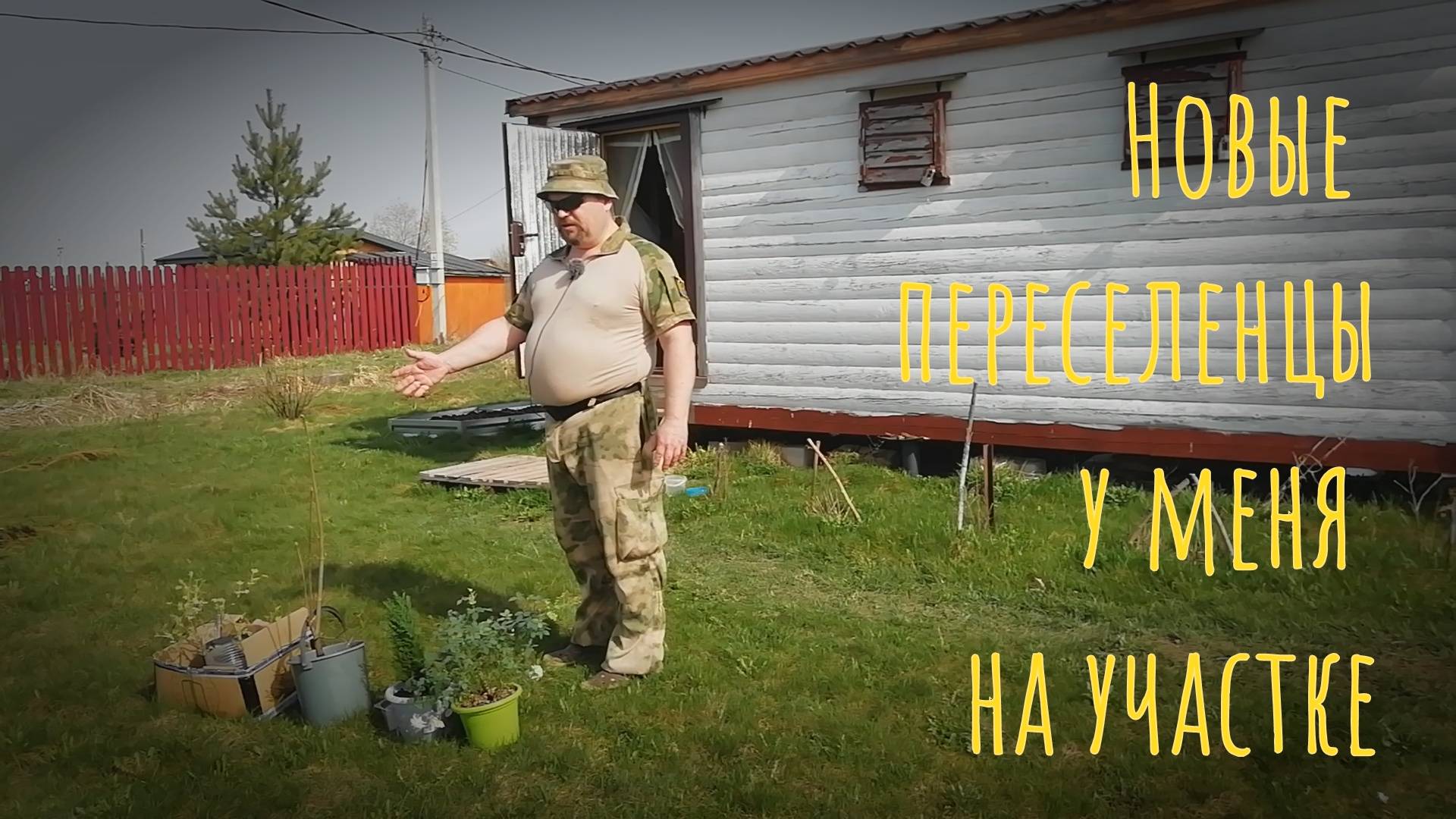 19.04.25 Новые переселенцы у меня на участке.