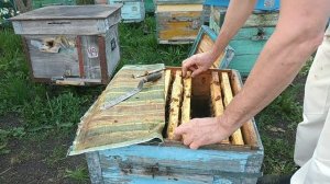 Готовим семью-воспитательницу.