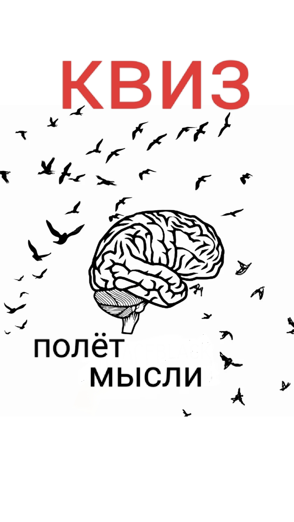 Полёт мысли Спортмастер