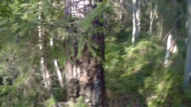 Пяток вёрст буреломчиком смотреть онлайн