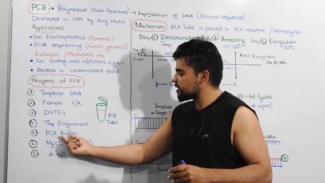 PCR | Polymerase Chain Reaction | Video 3 смотреть онлайн