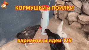 Кормушка курам вертикальная бункерная подвесная из трубы ПВХ понравилась несушками
