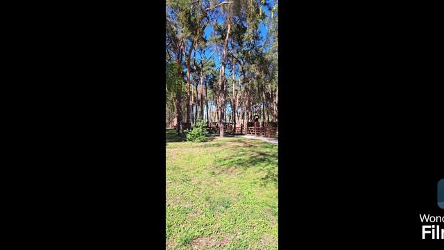 #ПаркАлыепаруса #парки #веснавпарке #виднареку #виднаводу #сосны #природа #прогулкавпарке #отдыхвпар