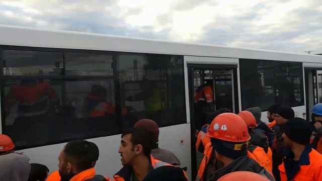 Почему вахтовиков заставляют идти через загоны словно скотину