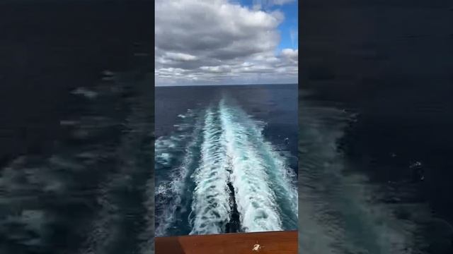 Мой первый круиз на лайнере MSC BELLISSIMA. Япония 🇯🇵.
