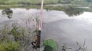 Просто взял Картофель и Хлеб. Супер насадка на карася, плотву, леща
