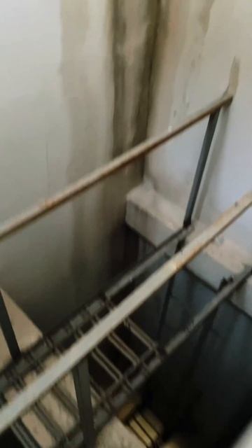 Как прямо из квартиры попасть на крышу? 😼 #shorts смотреть онлайн