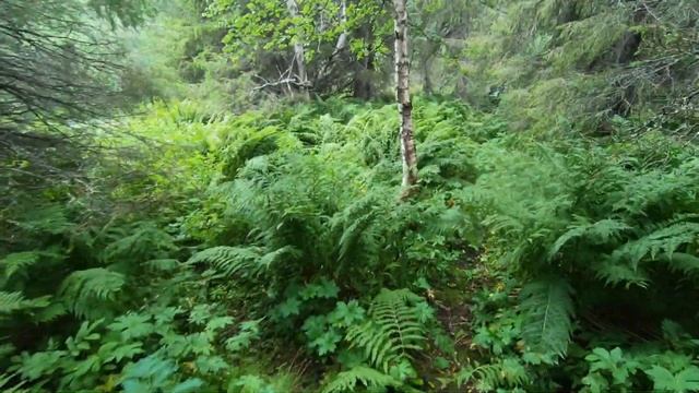 Ловозеро - Сейдозеро 2021 #кольскийполуостров #сейдозеро #outdoor