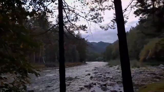 Не удачное путешествие с тревожно-депрессивном самочуствием . смотреть онлайн