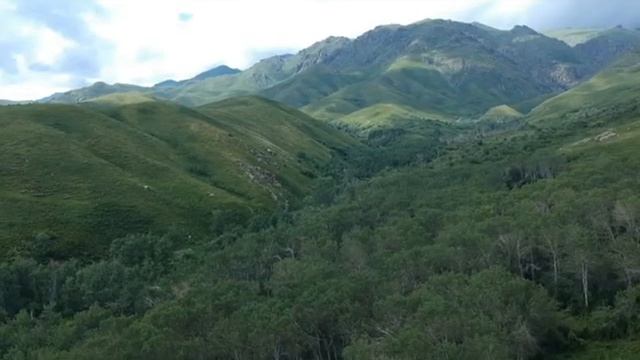 Тарбағатай смотреть онлайн