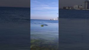 Navomodel Li-po 4s, motor 4250 800kv