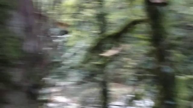 08.10.2023 Абхазия. Черниговка 7 смотреть онлайн