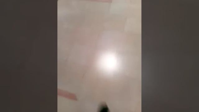 Я в отеле, город Шахты "рунтур по отелю" 1 этаж!