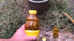 Кашнич / Кишда иситиш тизими йук парникда кашнич йетиштириш
