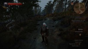 witcher3 Улучшенные доспехи и сапоги школы Кота